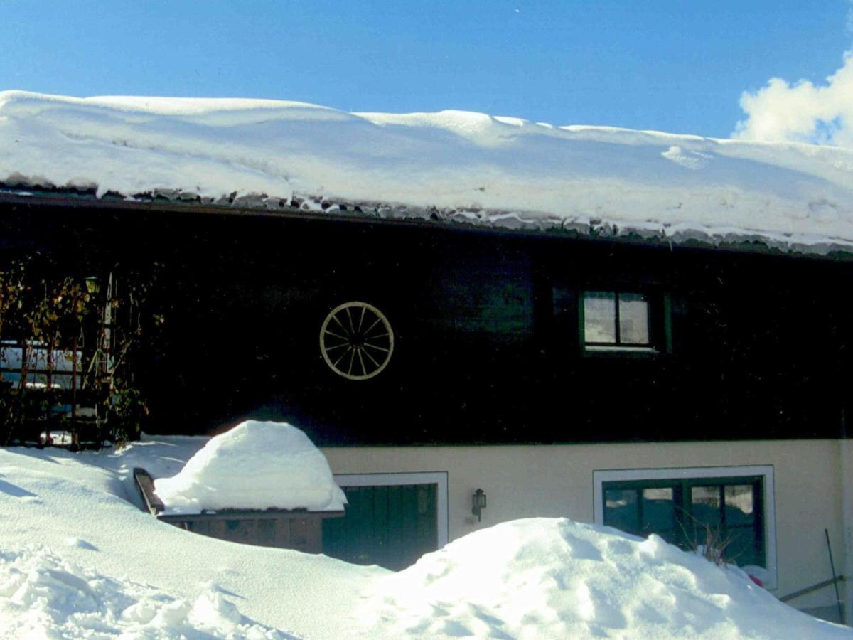 Chalet In Leogang Salzburg With Garden Βίλα Εξωτερικό φωτογραφία